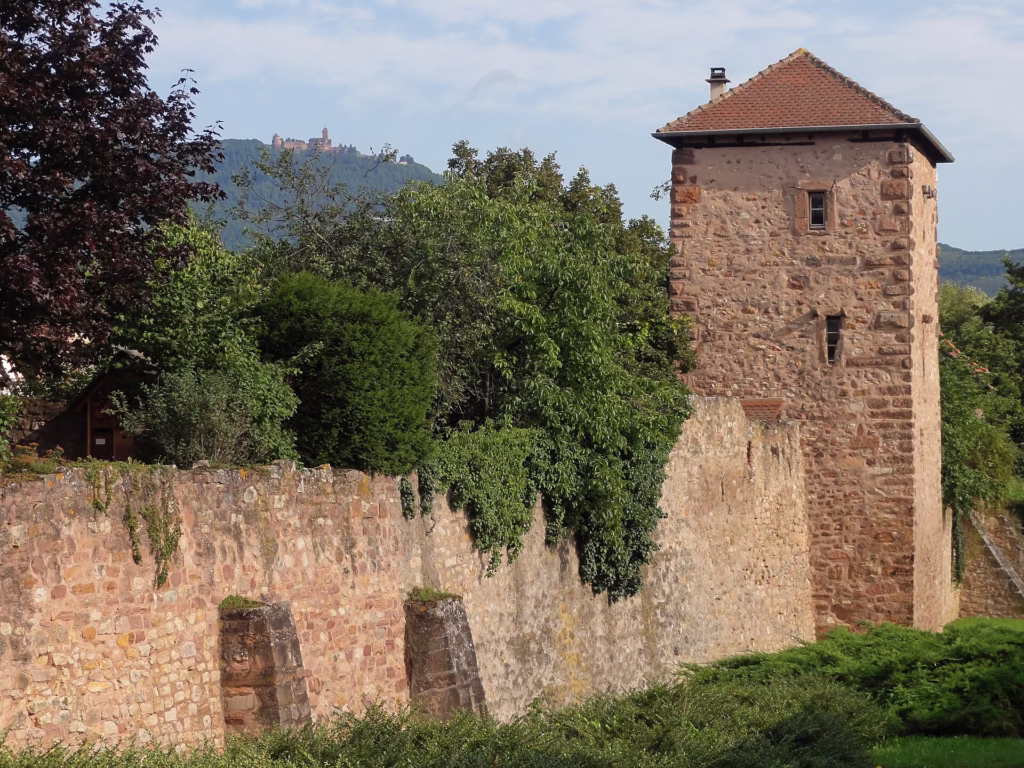 Les remparts médiévaux de Bergheim