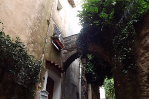 Bormes-les-Mimosas