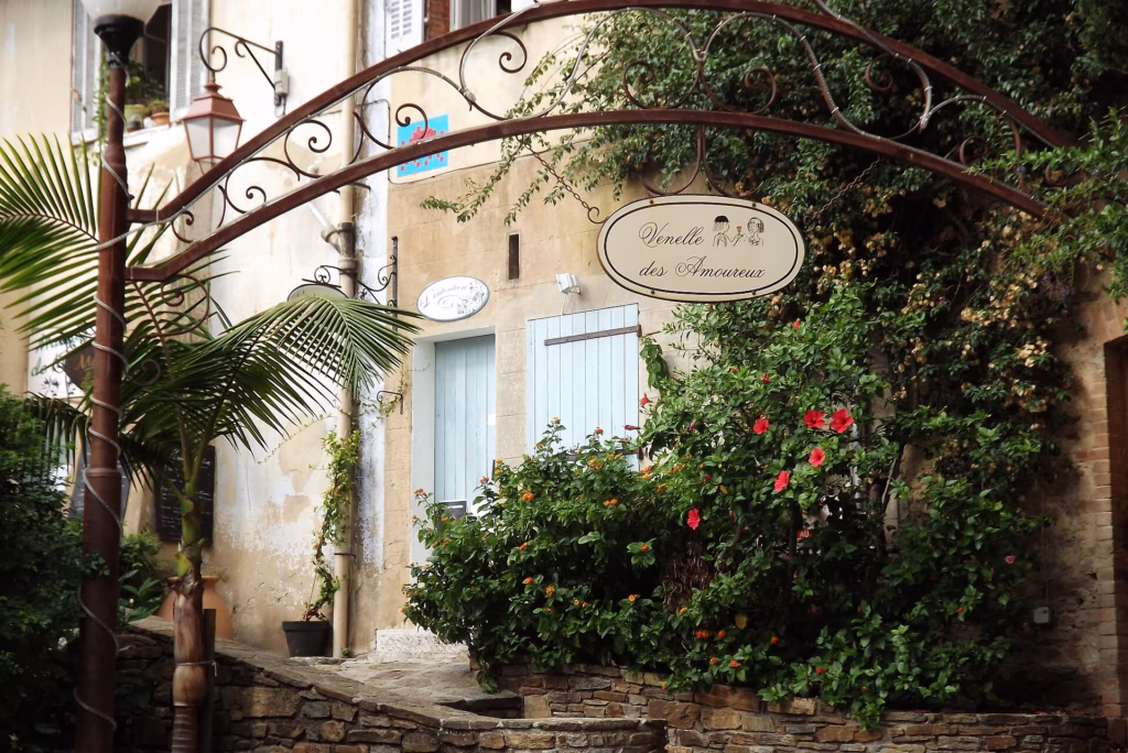 Les toits du vieux village de Bormes-les-Mimosas