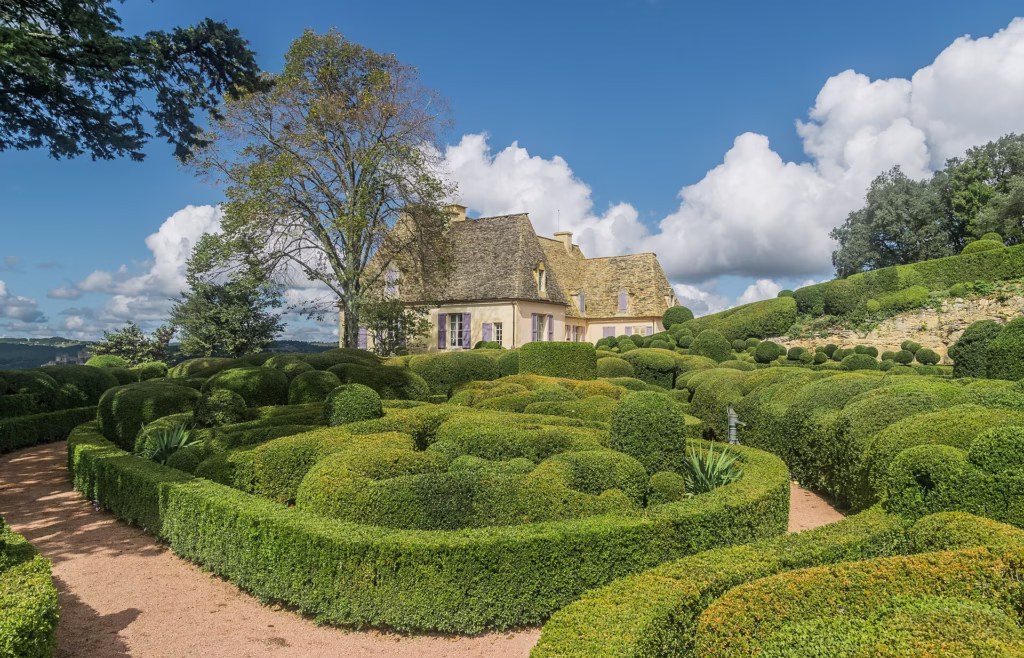 Les buis taillés des jardins de Marqueyssac