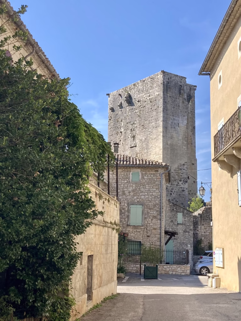 Les vestiges du château fort de Montclus