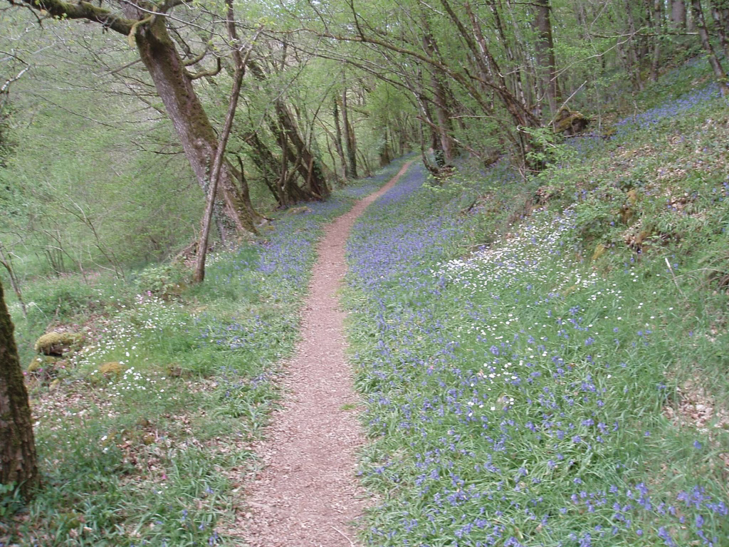 Chemin le long de la Voueize dans les gorges près de Chambon