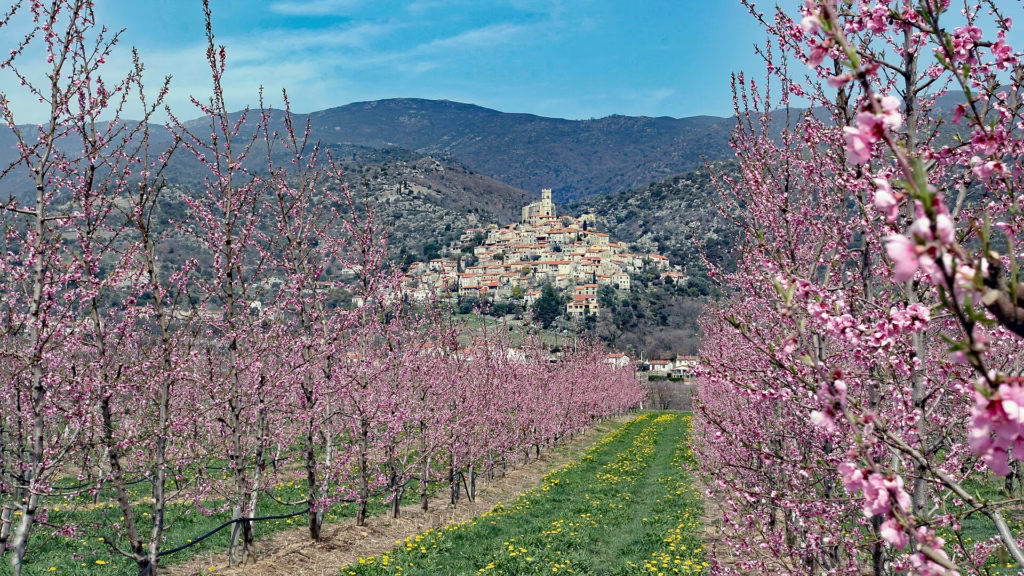 Les maisons étagées d’Eus dans la vallée de la Têt