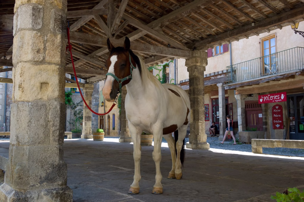 La halle médiévale de Lagrasse