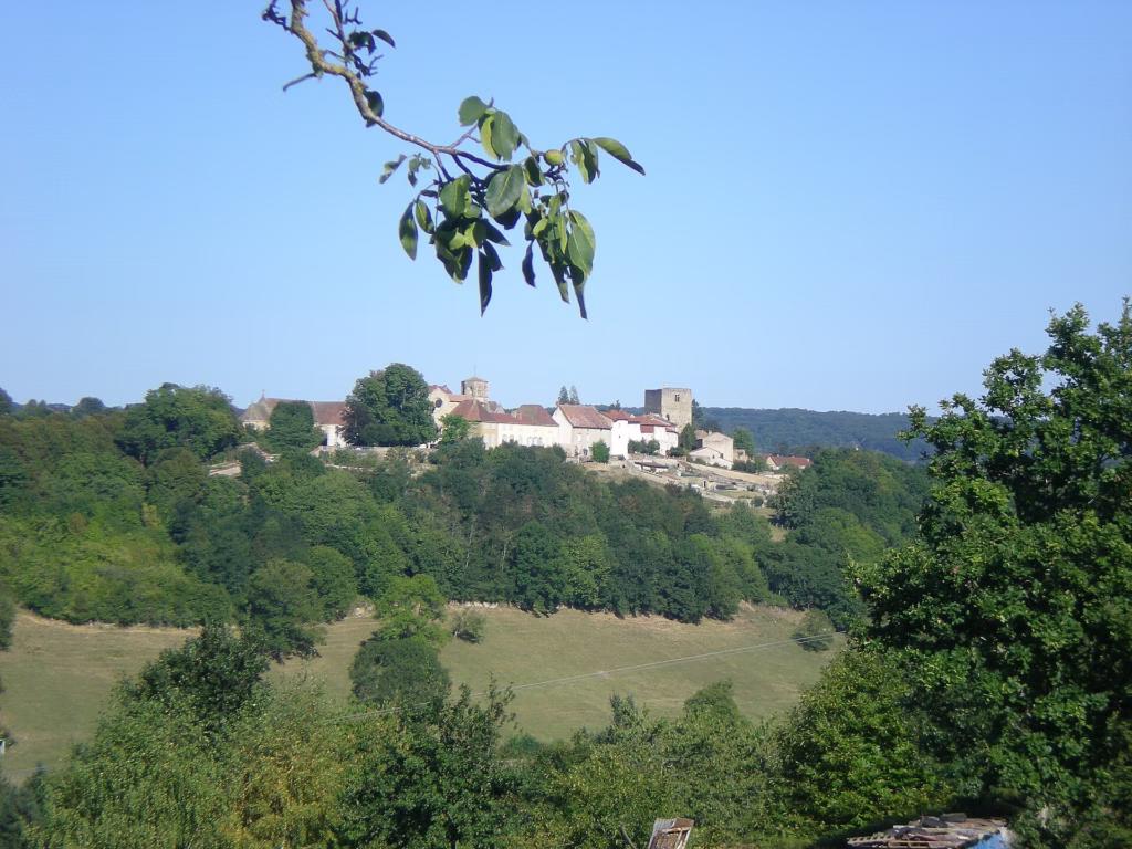 Vue du village de Semur-en-Brionnais