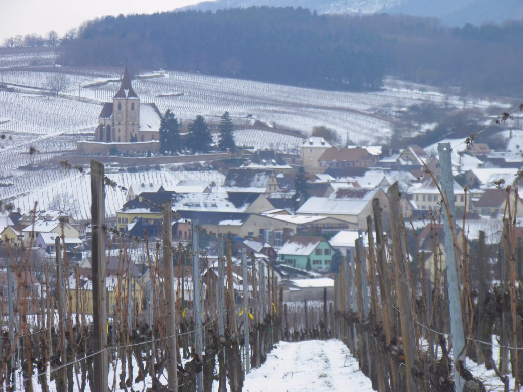 Le village de Hunawihr au milieu des vignes