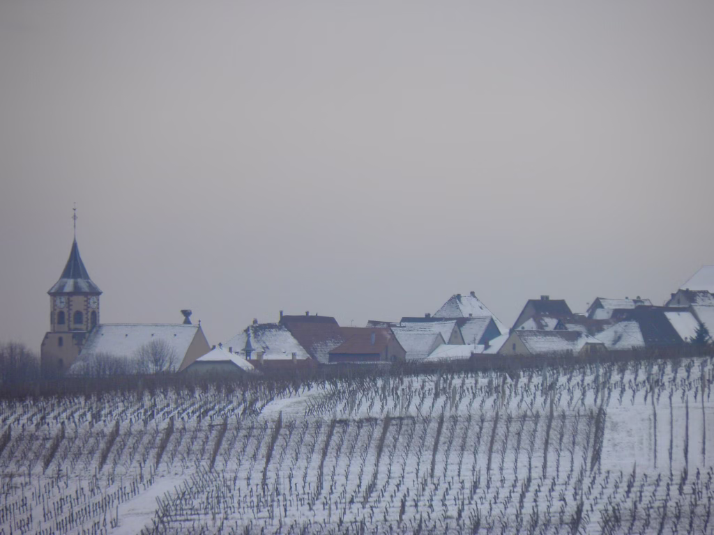L’église fortifiée de Hunawihr dominant le vignoble