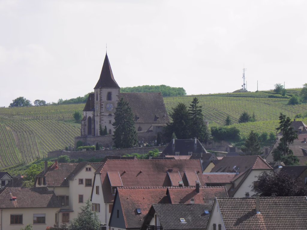 Maisons à colombages et vignes à Hunawihr