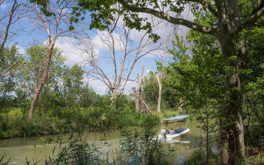 Une péniche sur le canal du Midi à Agde
