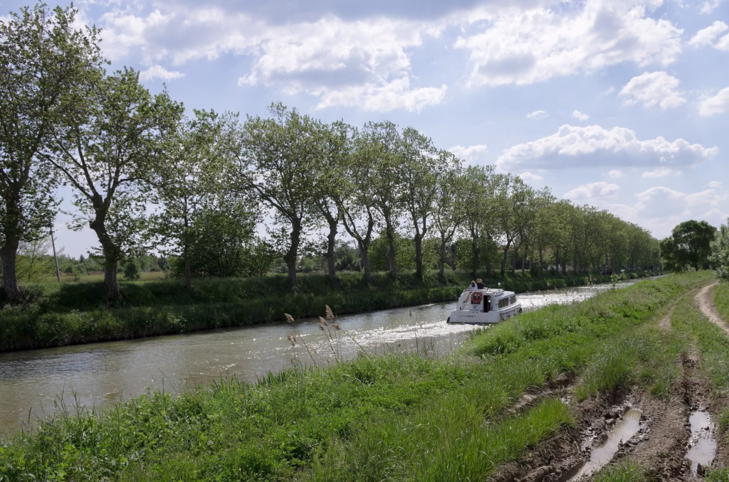 Le canal du Midi et ses platanes